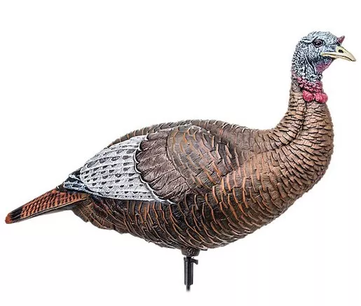 Flextone Thunder Chick Upright 3-D Turkey Decoy #FLXDY315