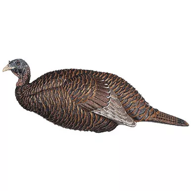 Flextone Thunder Chicken Breeder Decoy