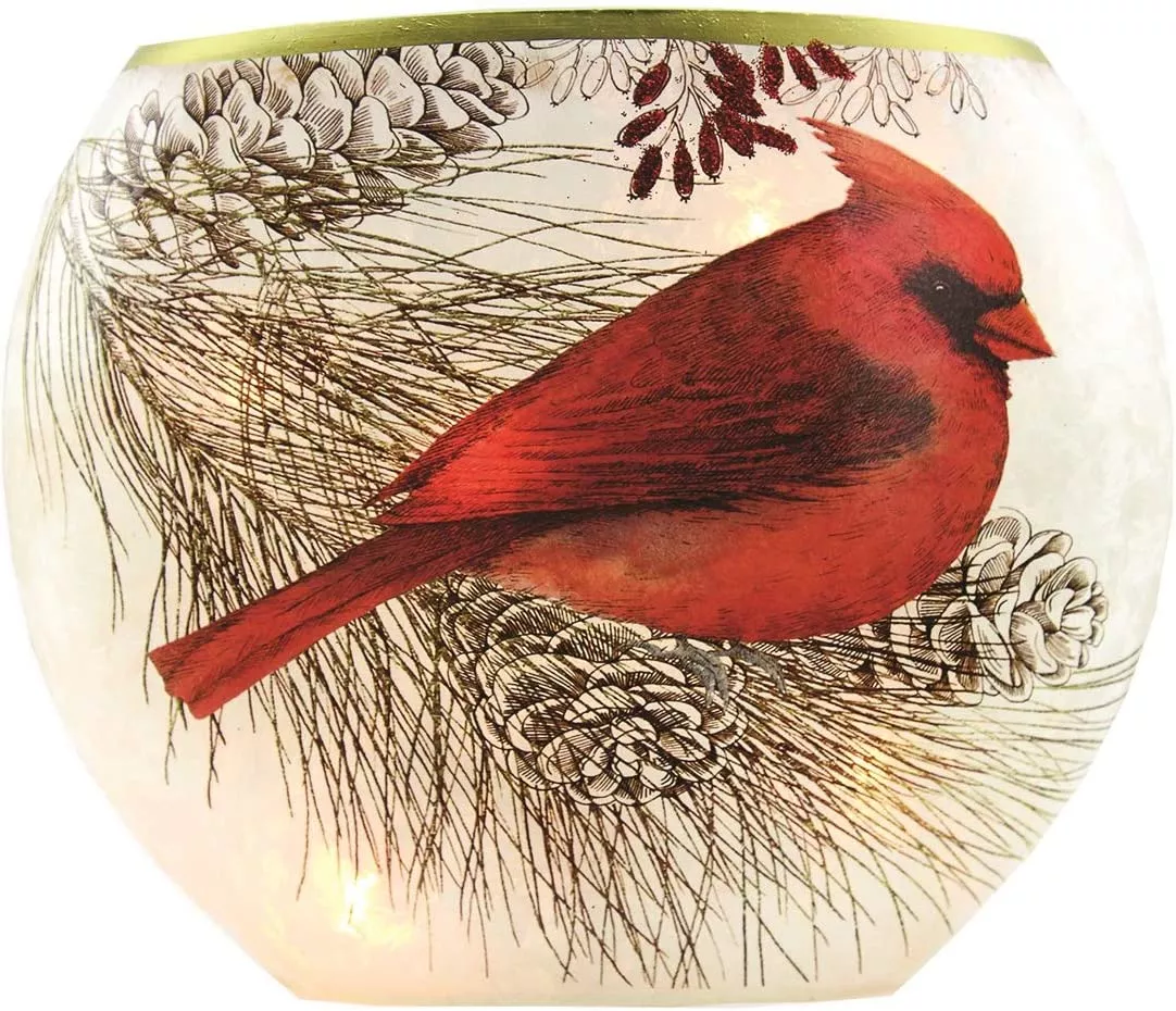 Ganz LED Light Up Cardinal Oval Glass Vase #LLX1263