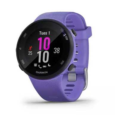 GARMIN Forerunner 45S GPS Running Smartwatch