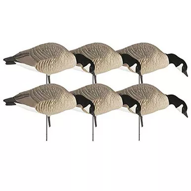 GHG 71596 HUNTER SERIES CANADIAN FEEDER 6 PACK