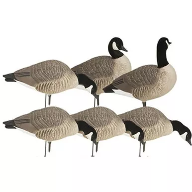 GHG 71597 HUNTER SERIES CANADIAN HARVESTER 6 PACK