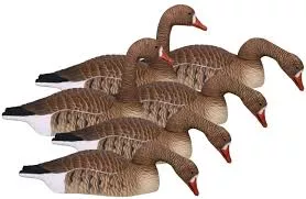 HardCore Economy-Series Specklebelly Goose Shells 6 Pack #01-103-0018