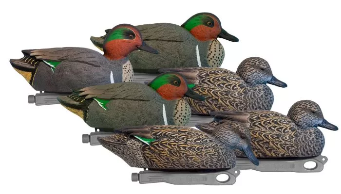HardCore Rugged Series Green-Wing Teal 6 Pack
