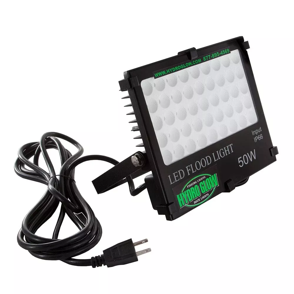 Hydro Glow FL50 50W/120VAC Flood Light – Green