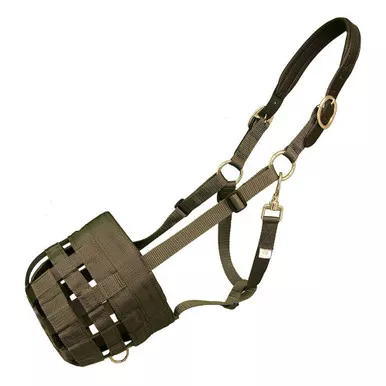 INTREPID INTERNATIONAL Best Friend Leather Crown Grazing Muzzle (BF02L)