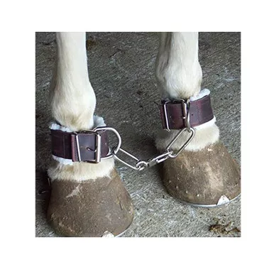 INTREPID INTERNATIONAL Fleece Lined Leather Horse Hobbles (4636L)