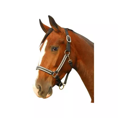 INTREPID INTERNATIONAL Leather Crown Silverado Halter