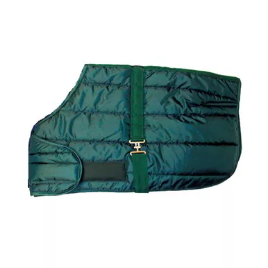 INTREPID INTERNATIONAL Snuggie Quilted Foal Adjustable Stable Blanket