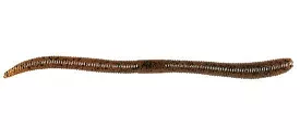 Jackall Flick Shake Worm 7 Pack