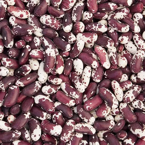 Jacob’s Cattle Dry Bean