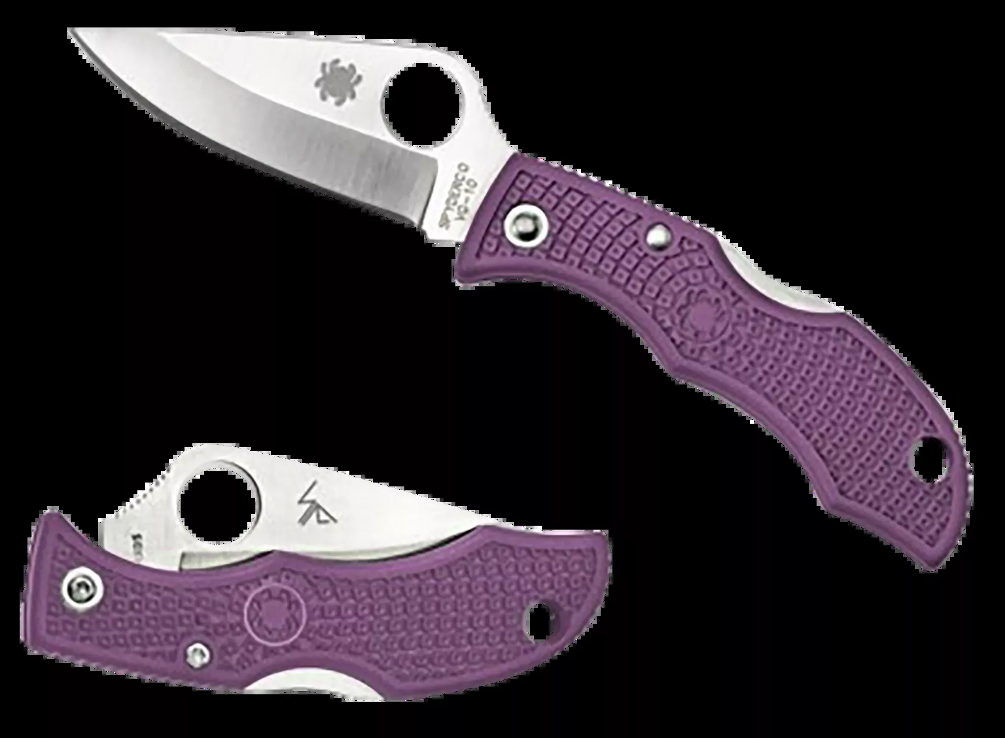 Ladybug 3 Salt 1.94″ Plain Blade Folding Knife – Purple