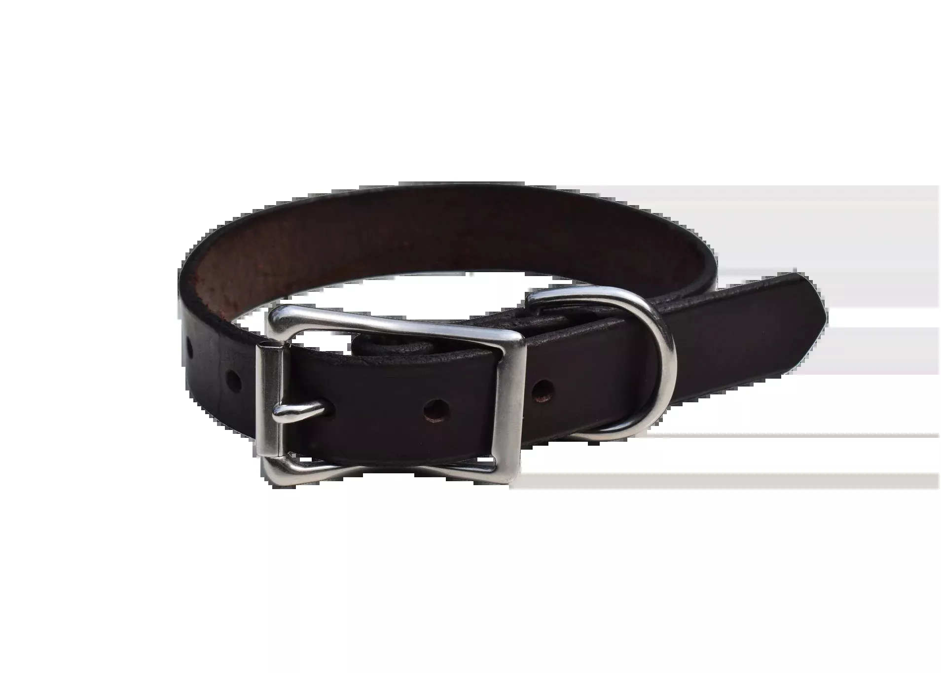 Leather Dog Collar