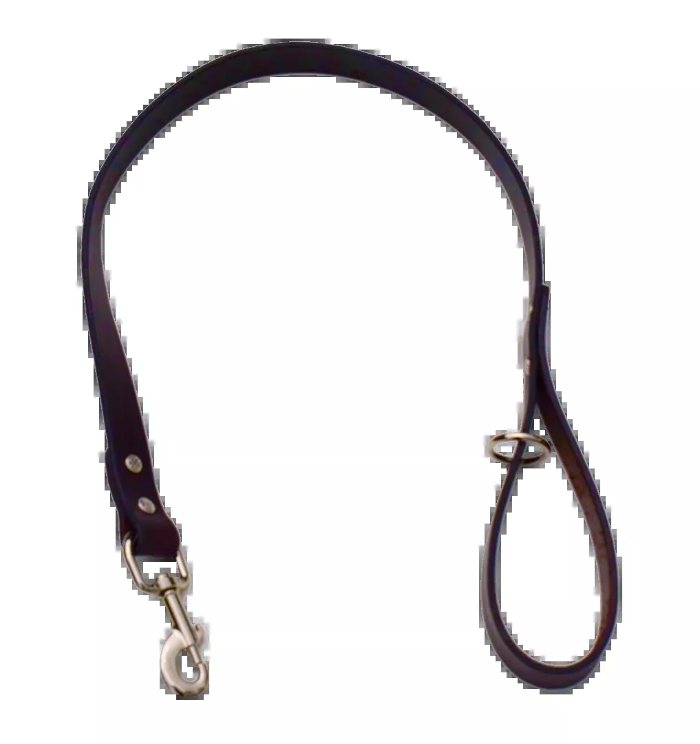Leather Dog Leash