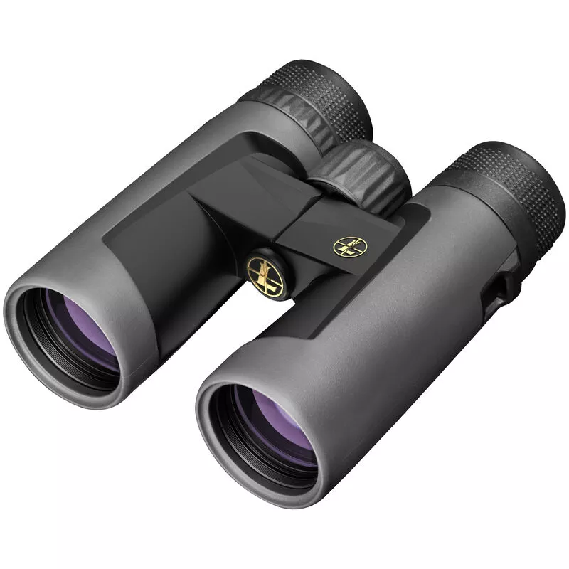 Leupold BX-2 Alpine Binoculars Shadow Gray 8X42 MM #176969