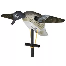 Lucky Duck Lucky Blue Wing Teal HD