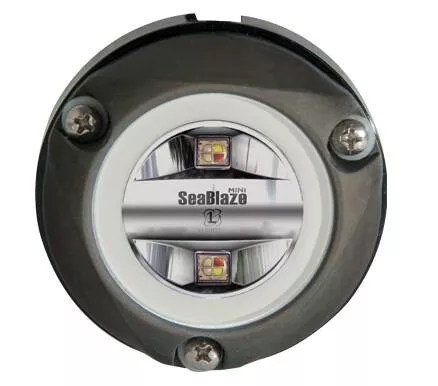 Lumitec Zambezi Mini Surface Mount Underwater Light• 101833