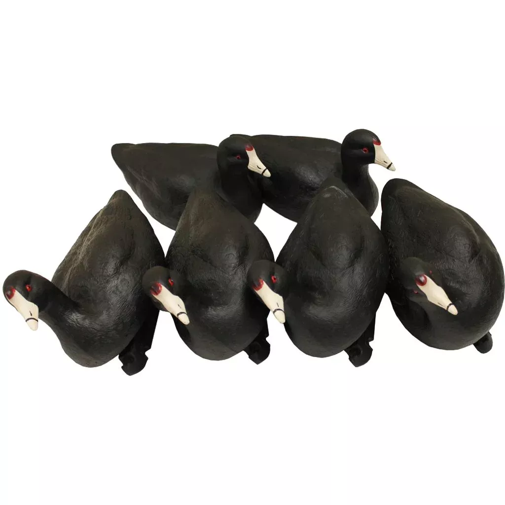 Mojo Coot Confidence Decoys (6-Pack)