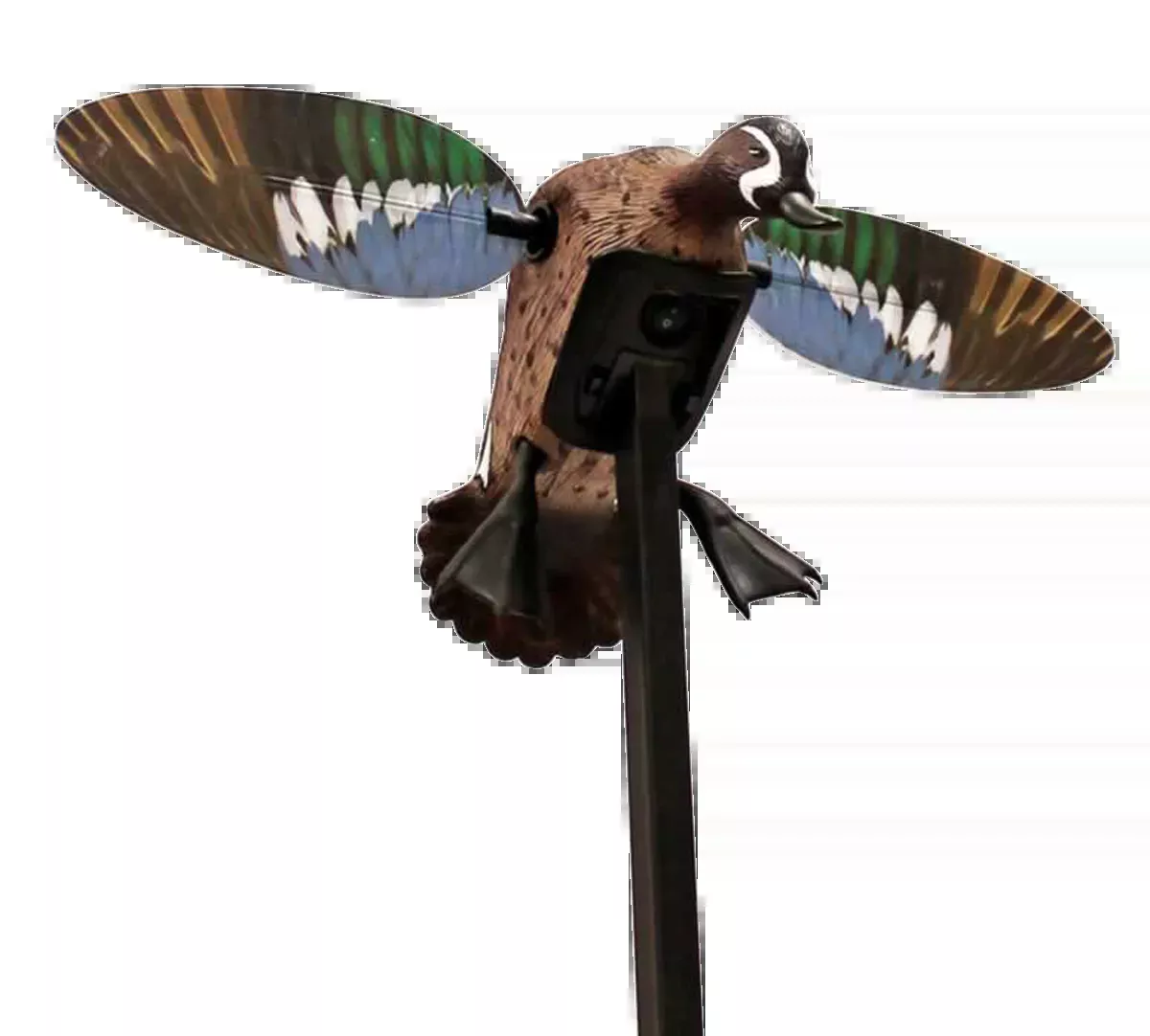 Mojo Elite Series Blue Wing Teal Duck Decoy – Remote Ready