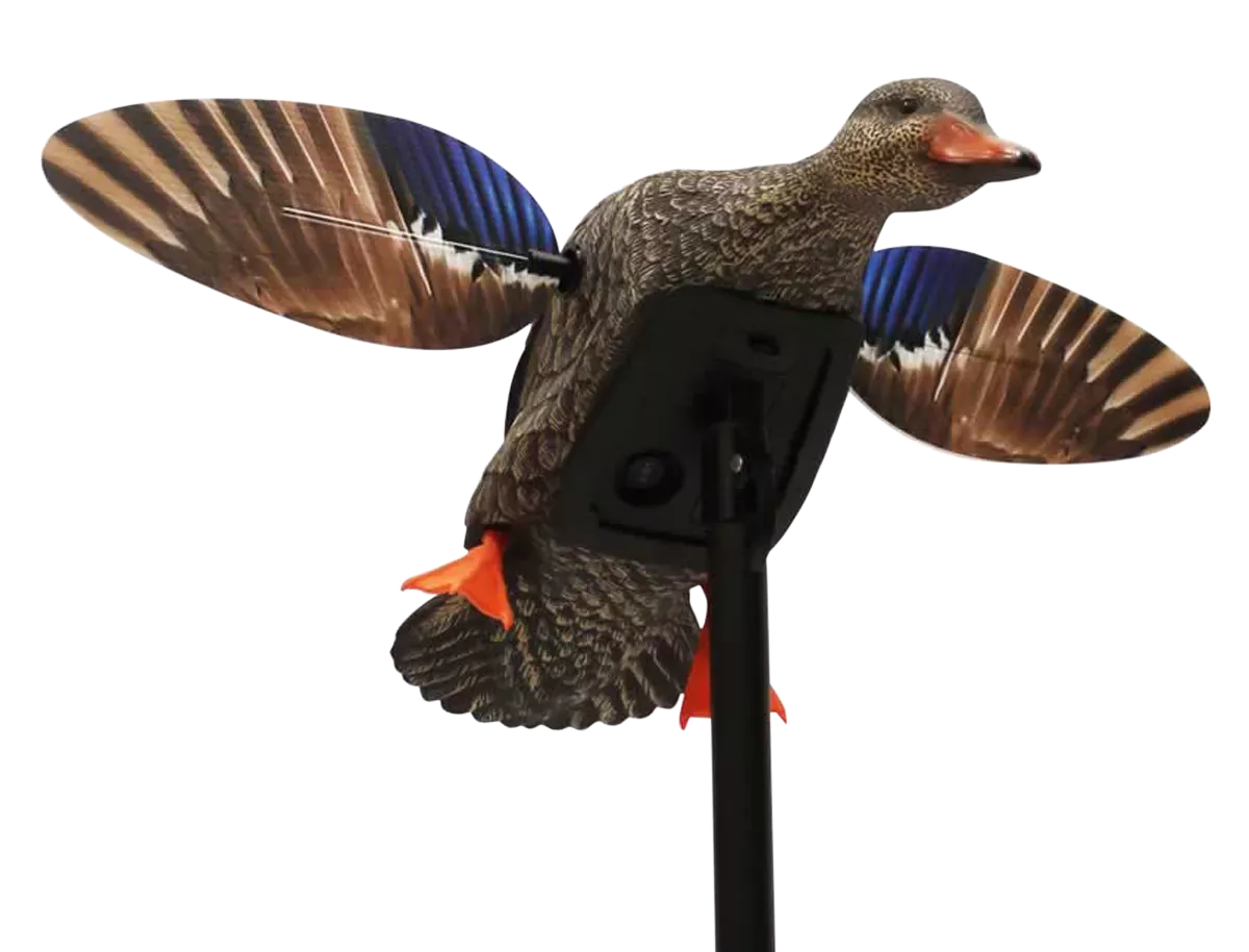 Mojo Elite Series Mini Hen Mallard Duck Decoy