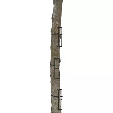 Muddy Stagger Steps 3 Pk.