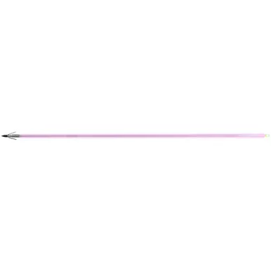 Muzzy Saber Fish Arrow