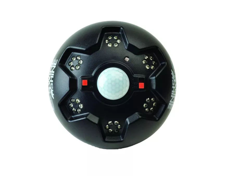 New American Hunter Swine Shine Feeder Hog Light, Black