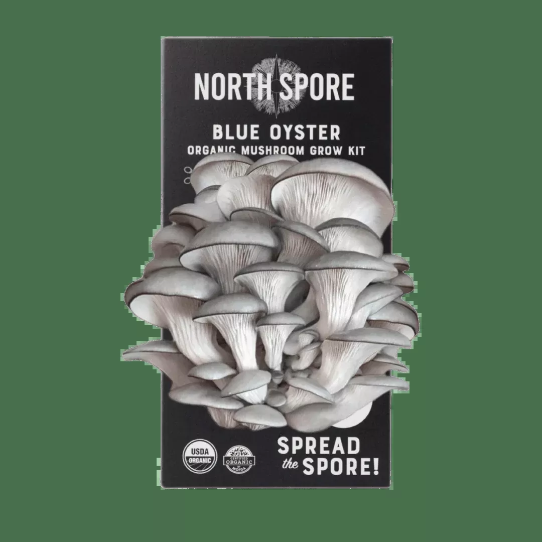 Organic Blue Oyster ‘Spray & Grow’ Mushroom Growing Kit