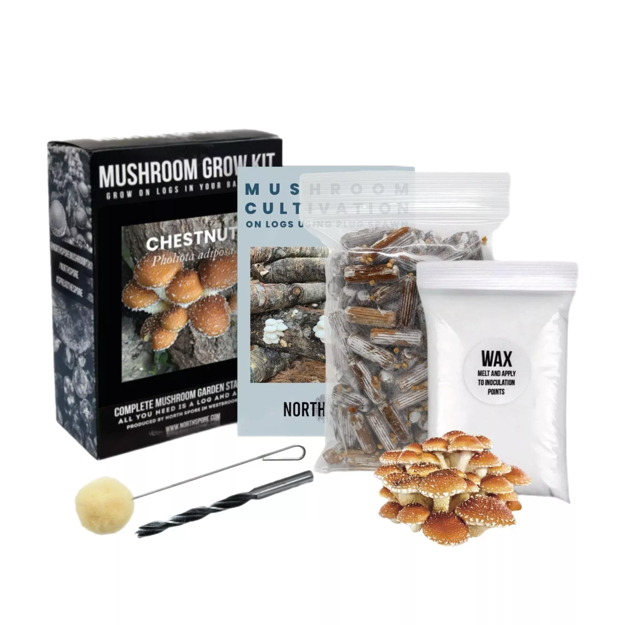Organic Chestnut Mushroom Log Kit