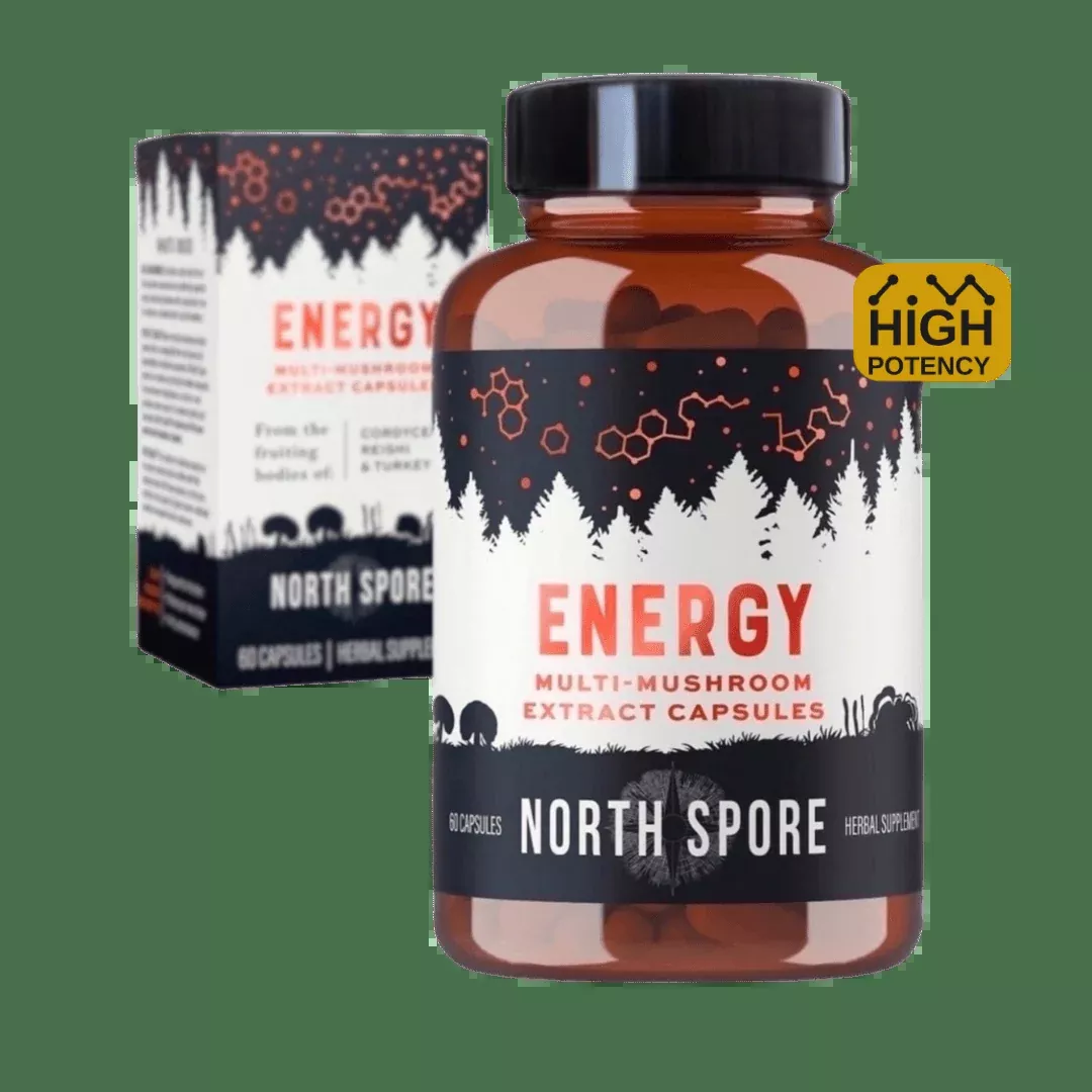 Organic ‘Energy’ Mushroom Capsules (High Potency)