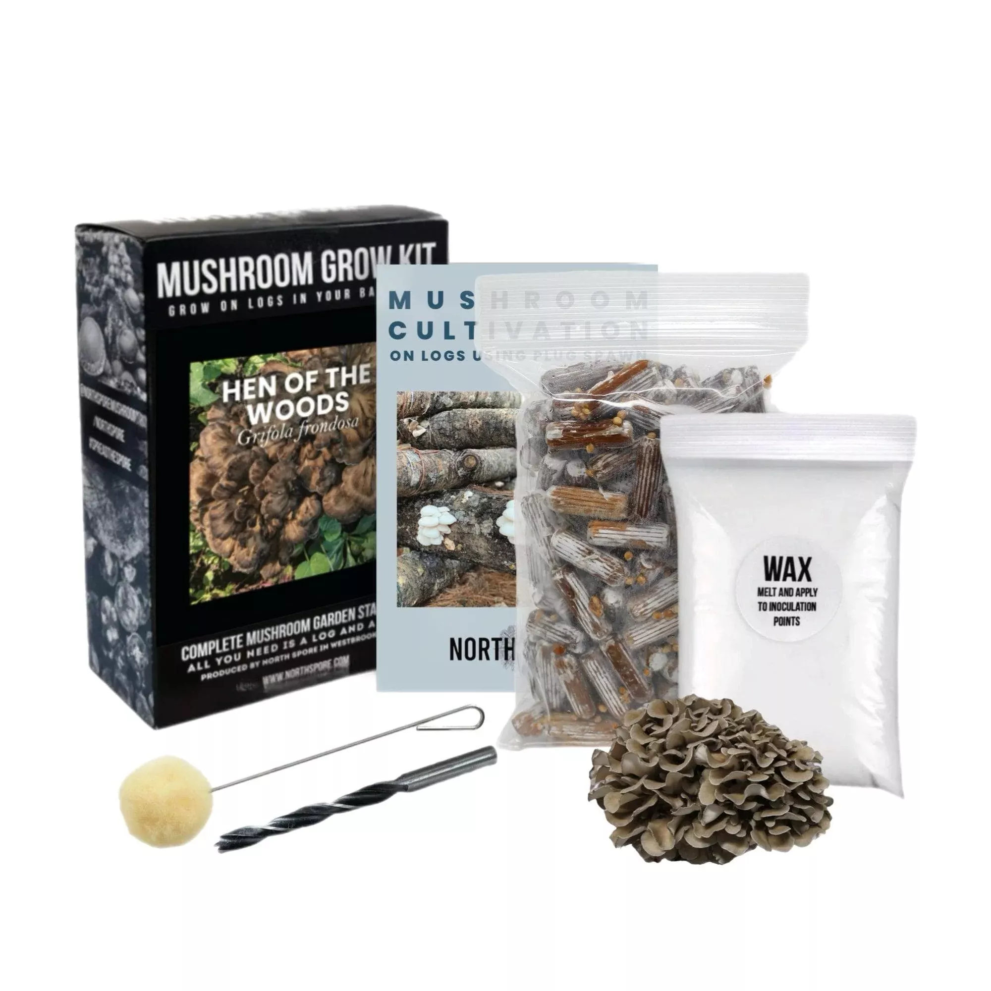 Organic Hen of the Woods (Maitake) Mushroom Log Kit