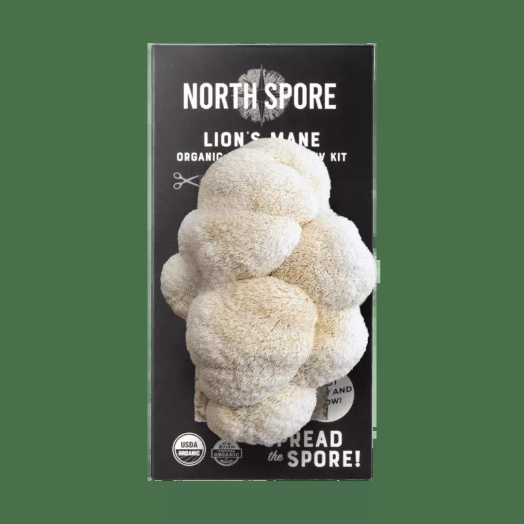 Organic Lion’s Mane ‘Spray & Grow’ Mushroom Growing Kit