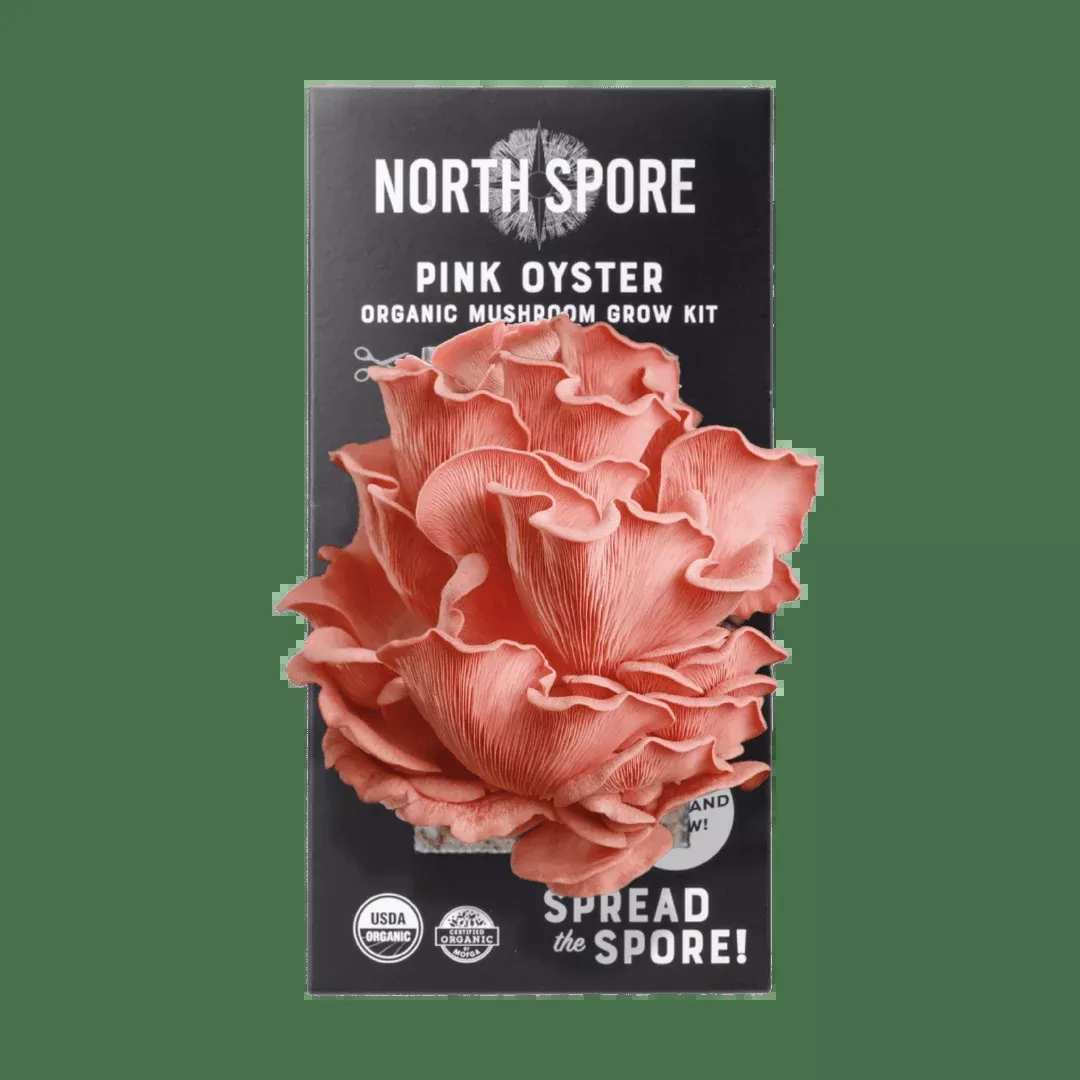 Organic Pink Oyster ‘Spray & Grow’ Mushroom Growing Kit