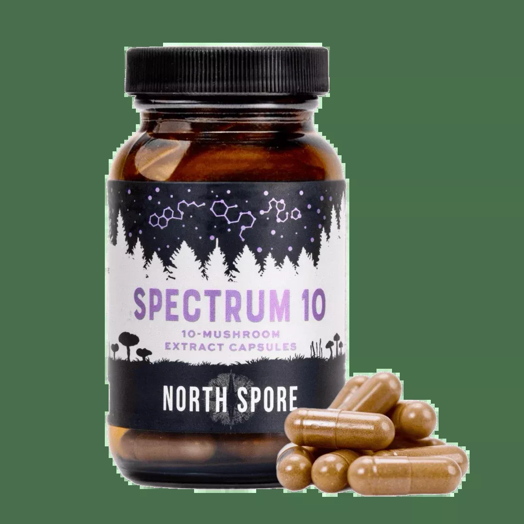Organic ‘Spectrum 10’ Mushroom Capsules (120 ct)