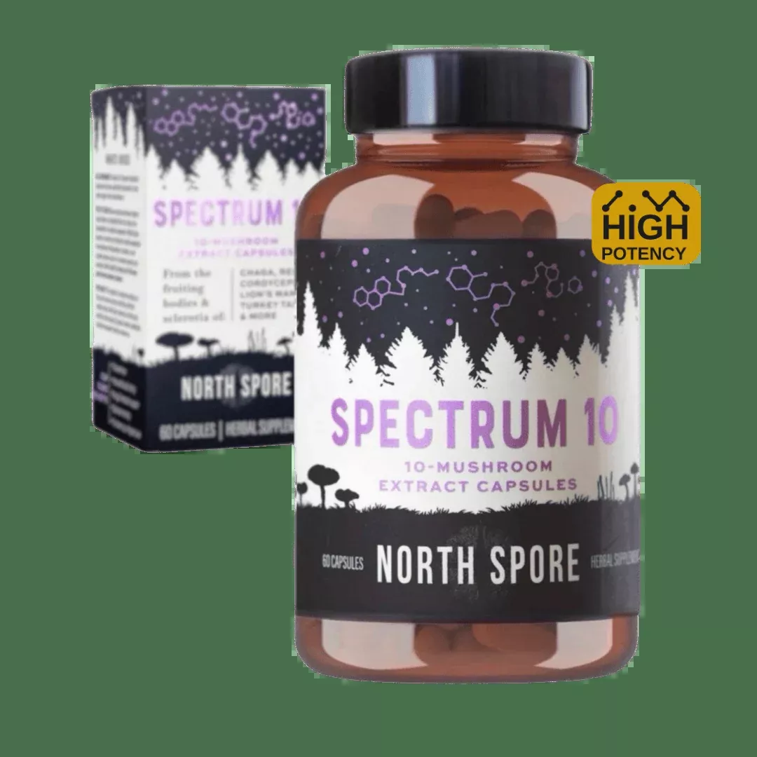 Organic ‘Spectrum 10’ Mushroom Capsules (High Potency)