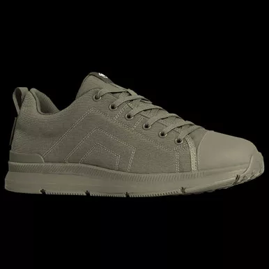 Pentagon Hybrid 2.0 Shoe RAL7013
