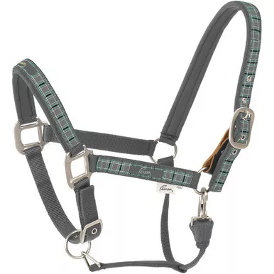 PESSOA Alpine Horse Padded Halter