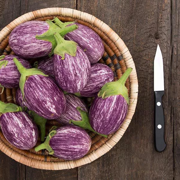 Piccolo F1 Eggplant