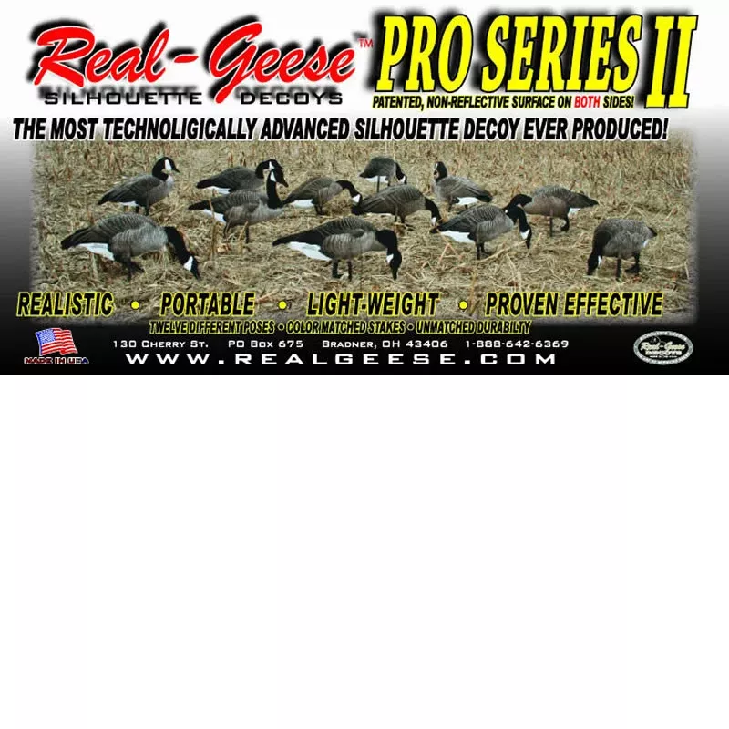 Pro Series II Canda Goose Decoys