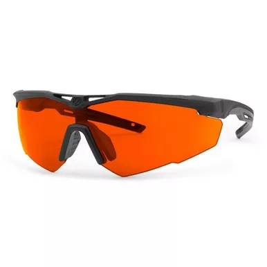 Revision Military StingerHawk Eyewear FT-2 Laser Protective Basic Kit