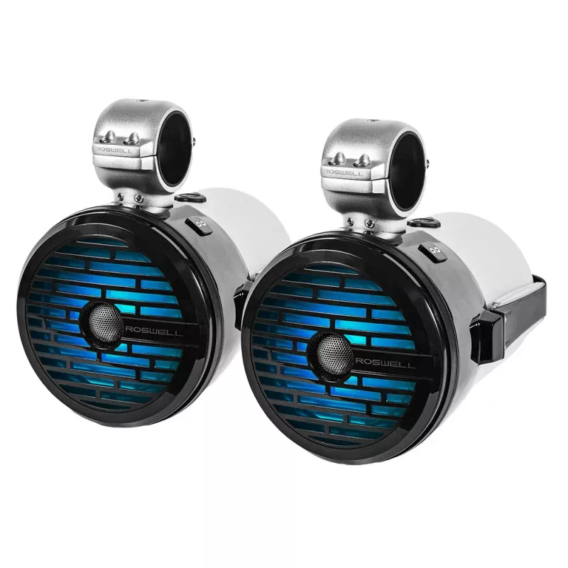 Roswell R1 8 Tower Speakers – Black – 100W RMS200W Peak Power
