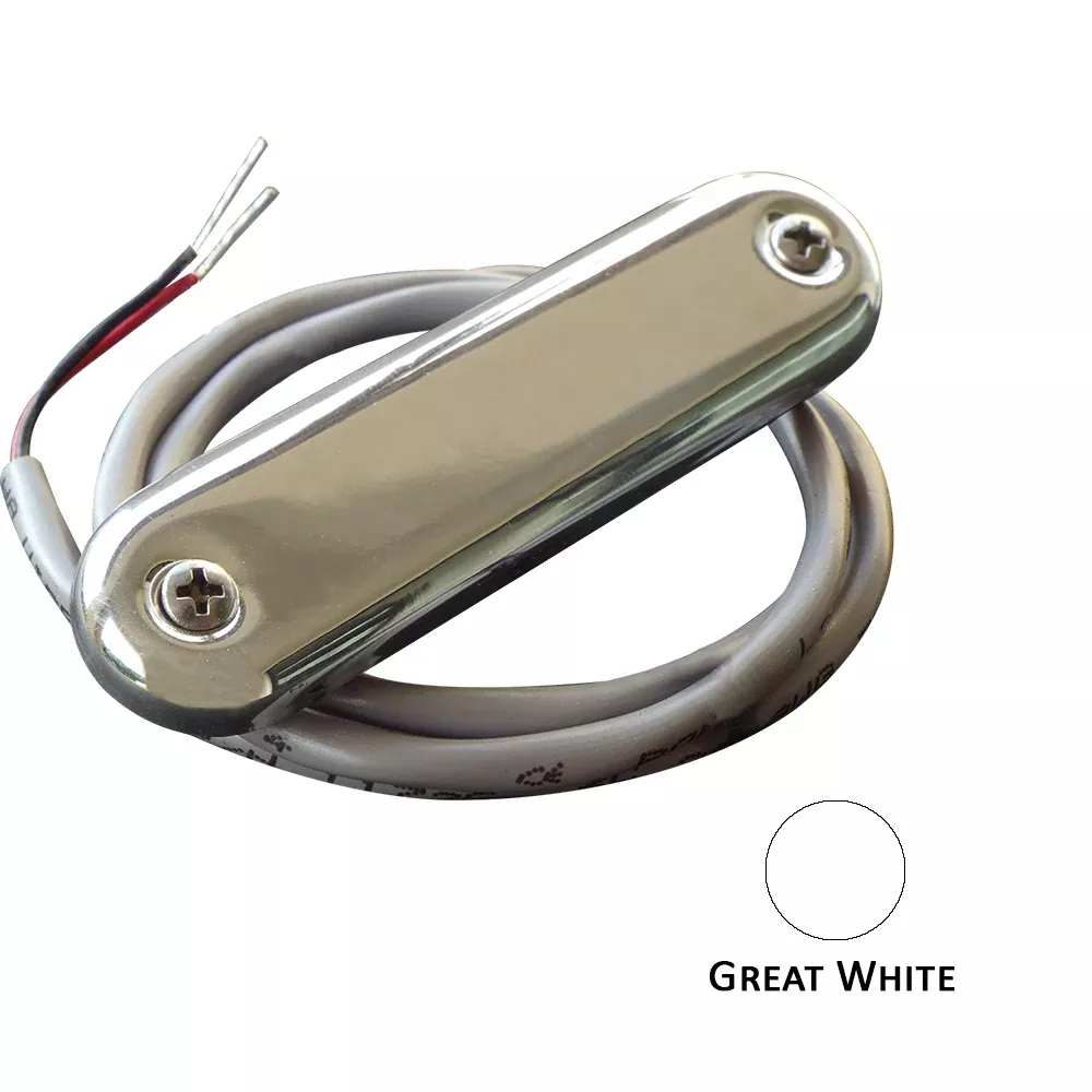 Shadow-Caster Courtesy Light w/2′ Lead Wire – 316 SS Cover – Great White – 4-Pack [SCM-CL-GW-SS-4PACK]
