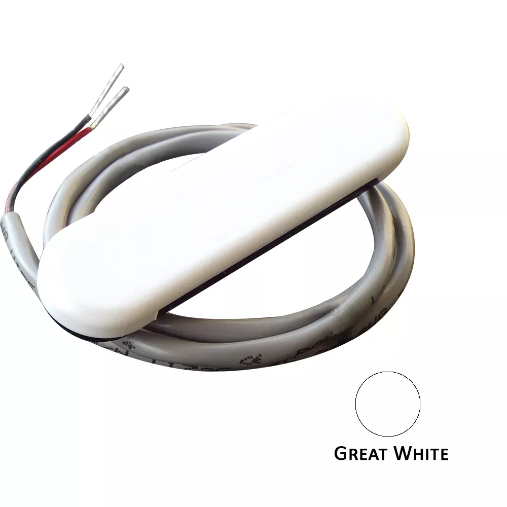 Shadow-Caster Courtesy Light w/2′ Lead Wire – White ABS Cover – Great White – 4-Pack [SCM-CL-GW-4PACK]