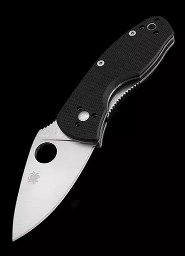 Spyderco Ambitious Folding Knife