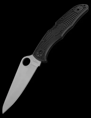 Spyderco Pacific Salt 2