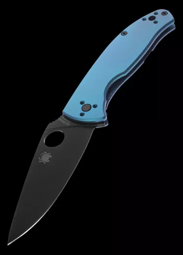 Spyderco Tenacious R.I.L. Titanium Black Folding Knife