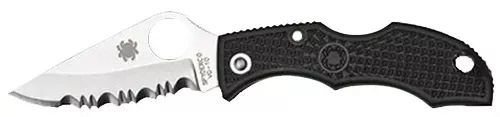 SpydercoLadybug 31.94"