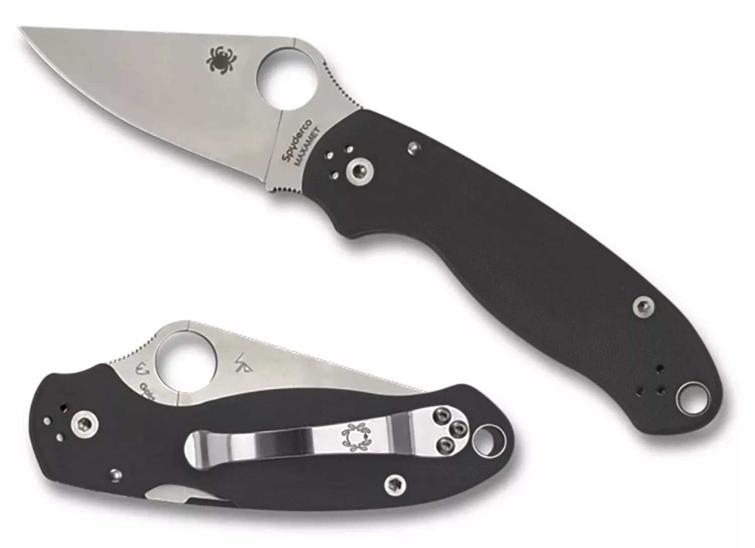 SpydercoPara 32.95"