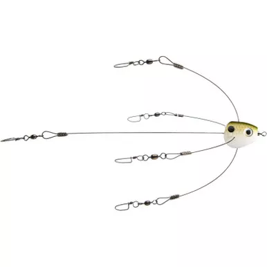 Strike King Titanium Rig Tennessee Shad Short