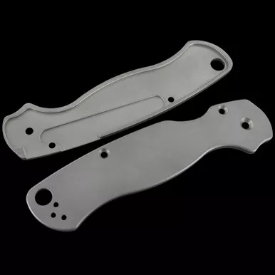 Titech Heinnie Exclusive Spyderco Paramilitary 2 Titanium Scales